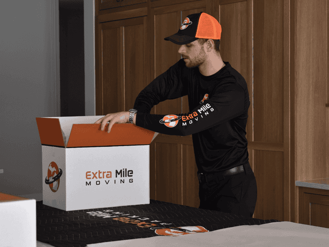 [object Object],[object Object] image